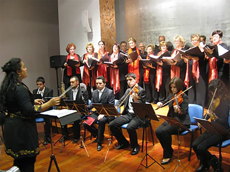 La Camerata Cantabile en la Navidad 2011